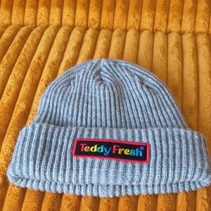 Teddy Fresh Gray Ribbed Beanie with Colorful Logo